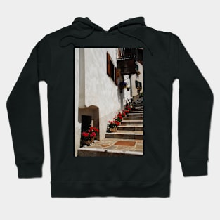 Geraniums on Stepped Street Hoodie